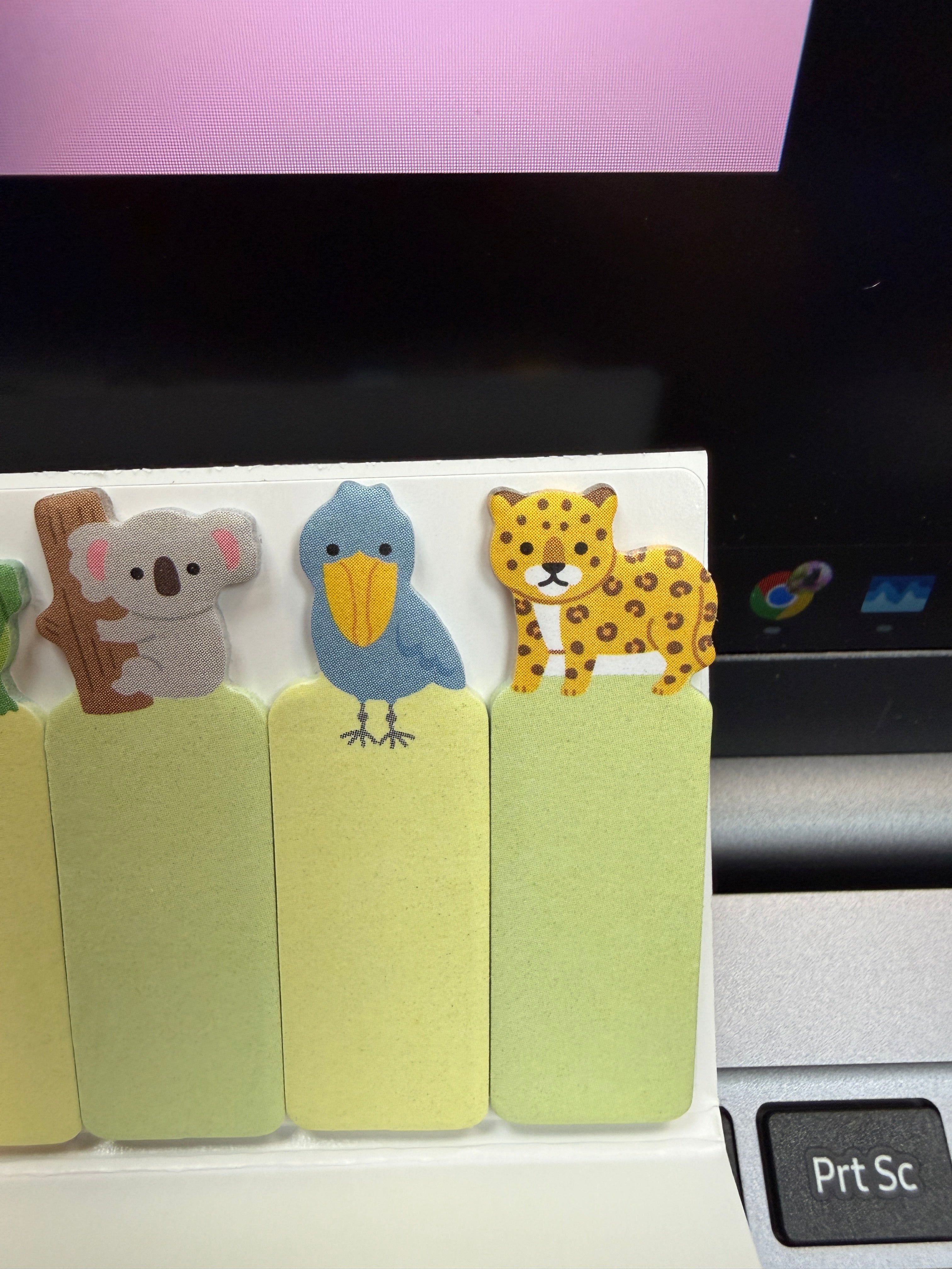 Mind Wave Sticky Markers - Animals