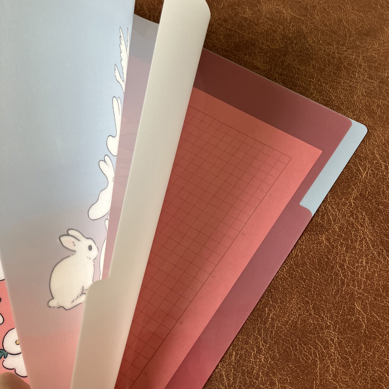 Schinako Moriyama 森山標子 A4 Plastic Folder
