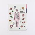 <Study Holic> A5 Plastic Folder - Human Biology 人類生物学