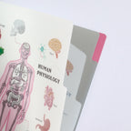 <Study Holic> A5 Plastic Folder - Human Biology 人類生物学