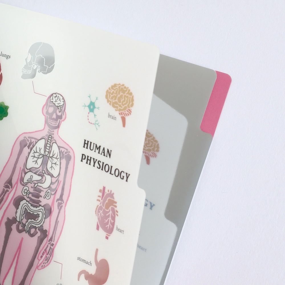 <Study Holic> A5 Plastic Folder - Human Biology 人類生物学