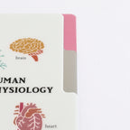 <Study Holic> A5 Plastic Folder - Human Biology 人類生物学