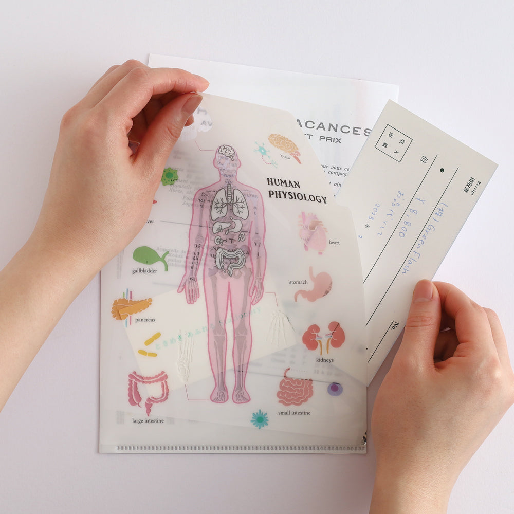 <Study Holic> A5 Plastic Folder - Human Biology 人類生物学