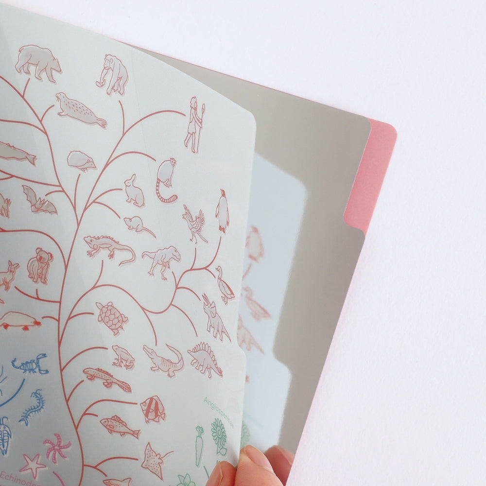 <Study Holic> A5 Plastic Folder - Evolutionary Biology 進化生物学