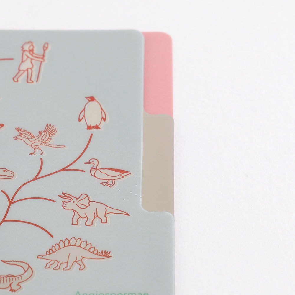 <Study Holic> A5 Plastic Folder - Evolutionary Biology 進化生物学