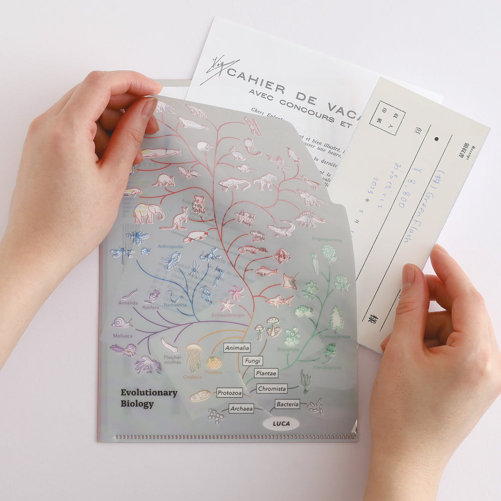 <Study Holic> A5 Plastic Folder - Evolutionary Biology 進化生物学