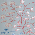 <Study Holic> A5 Plastic Folder - Evolutionary Biology 進化生物学