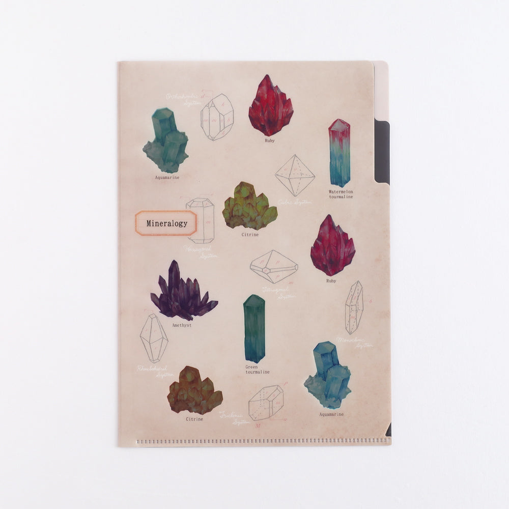 <Study Holic> A5 Plastic Folder - Mineralogy 鉱物学