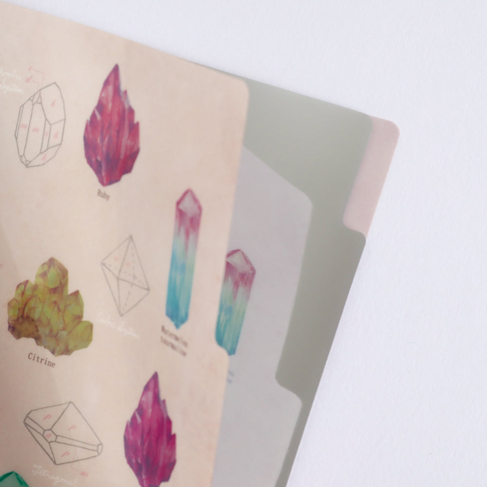 <Study Holic> A5 Plastic Folder - Mineralogy 鉱物学
