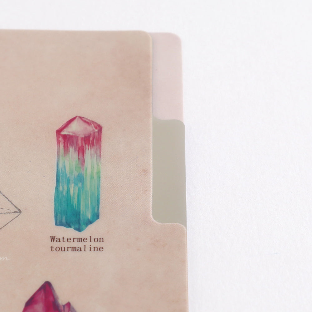 <Study Holic> A5 Plastic Folder - Mineralogy 鉱物学