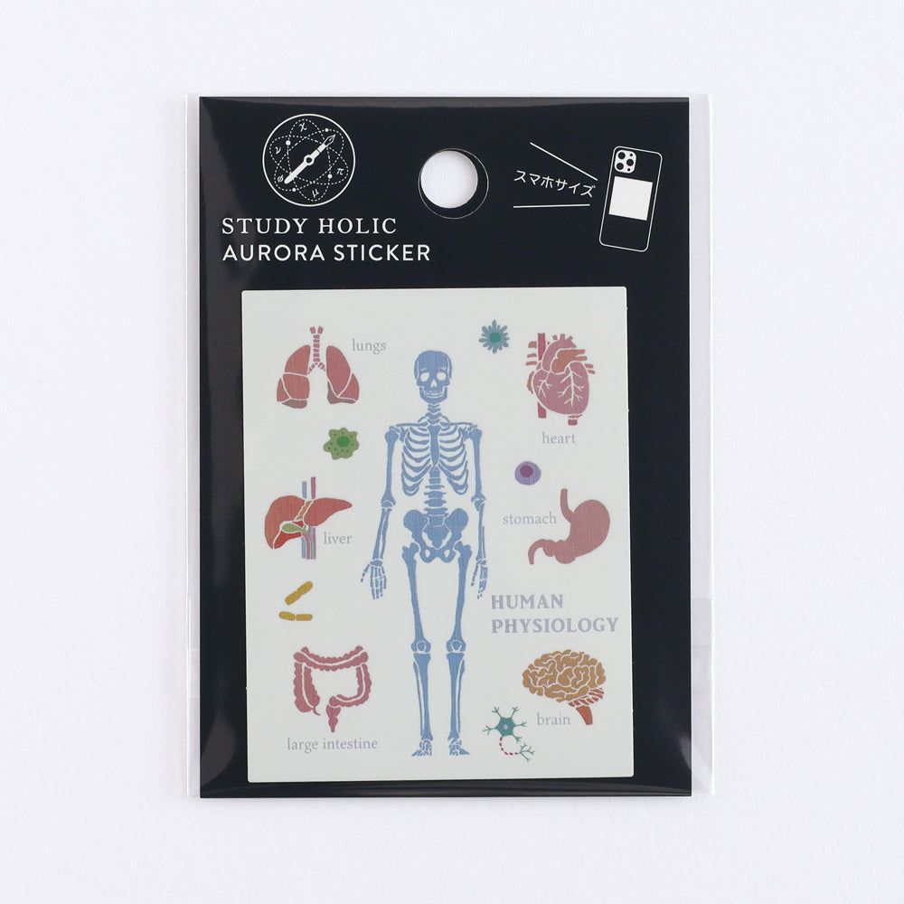 <Study Holic> Aurora Sticker - Human Biology 人類生物学