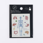 <Study Holic> Aurora Sticker - Human Biology 人類生物学