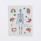 <Study Holic> Aurora Sticker - Human Biology 人類生物学