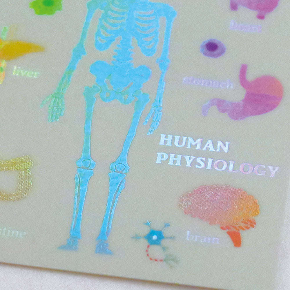 <Study Holic> Aurora Sticker - Human Biology 人類生物学
