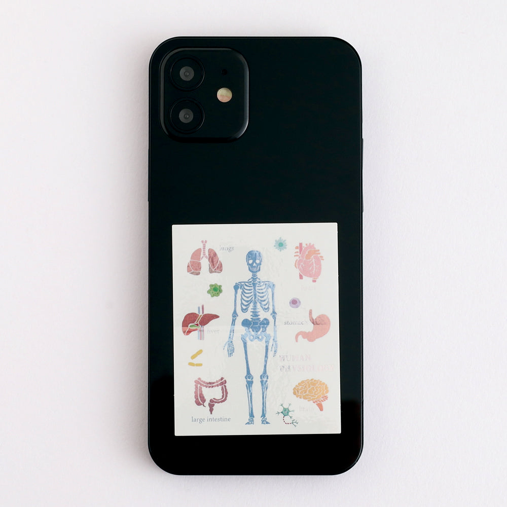 <Study Holic> Aurora Sticker - Human Biology 人類生物学