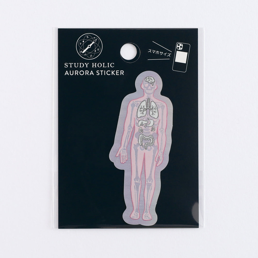 <Study Holic> Aurora Sticker - Human Biology 人類生物学 / 人体