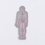 <Study Holic> Aurora Sticker - Human Biology 人類生物学 / 人体