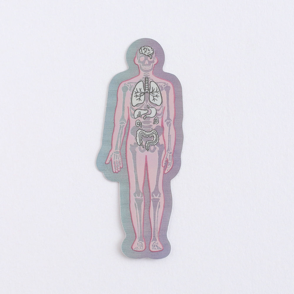 <Study Holic> Aurora Sticker - Human Biology 人類生物学 / 人体