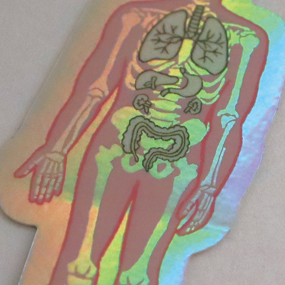 <Study Holic> Aurora Sticker - Human Biology 人類生物学 / 人体
