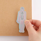 <Study Holic> Aurora Sticker - Human Biology 人類生物学 / 人体