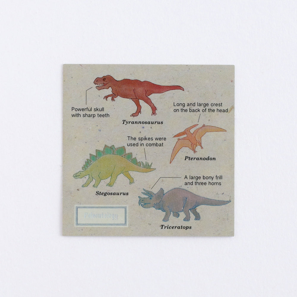 <Study Holic> Aurora Sticker - Paleontology 古生物学