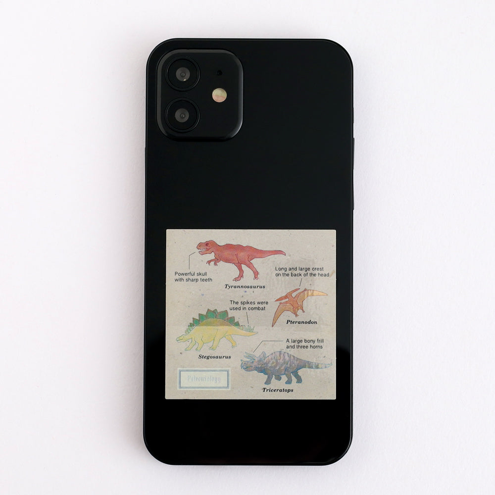 <Study Holic> Aurora Sticker - Paleontology 古生物学