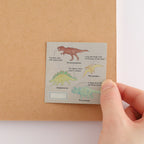 <Study Holic> Aurora Sticker - Paleontology 古生物学