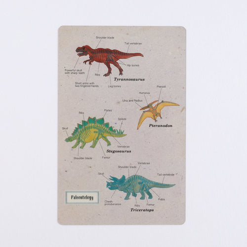 <Study Holic> Clear bookmark - Paleontology 古生物学