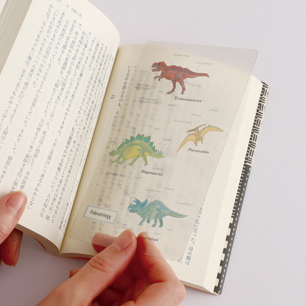 <Study Holic> Clear bookmark - Paleontology 古生物学