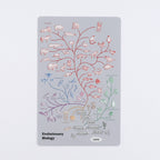 <Study Holic> Clear Bookmark - Evolutionary Biology 進化生物学
