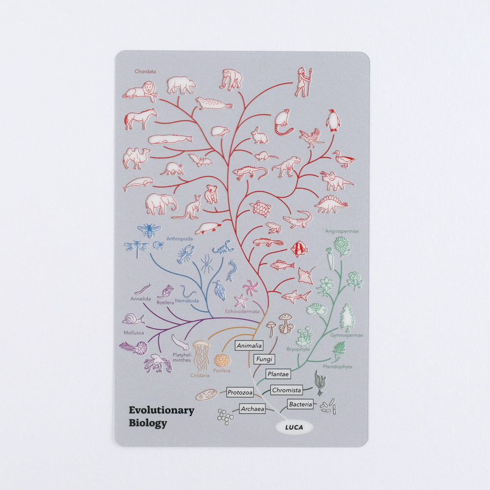 <Study Holic> Clear Bookmark - Evolutionary Biology 進化生物学