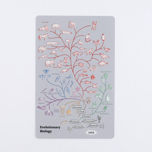 <Study Holic> Clear Bookmark - Evolutionary Biology 進化生物学