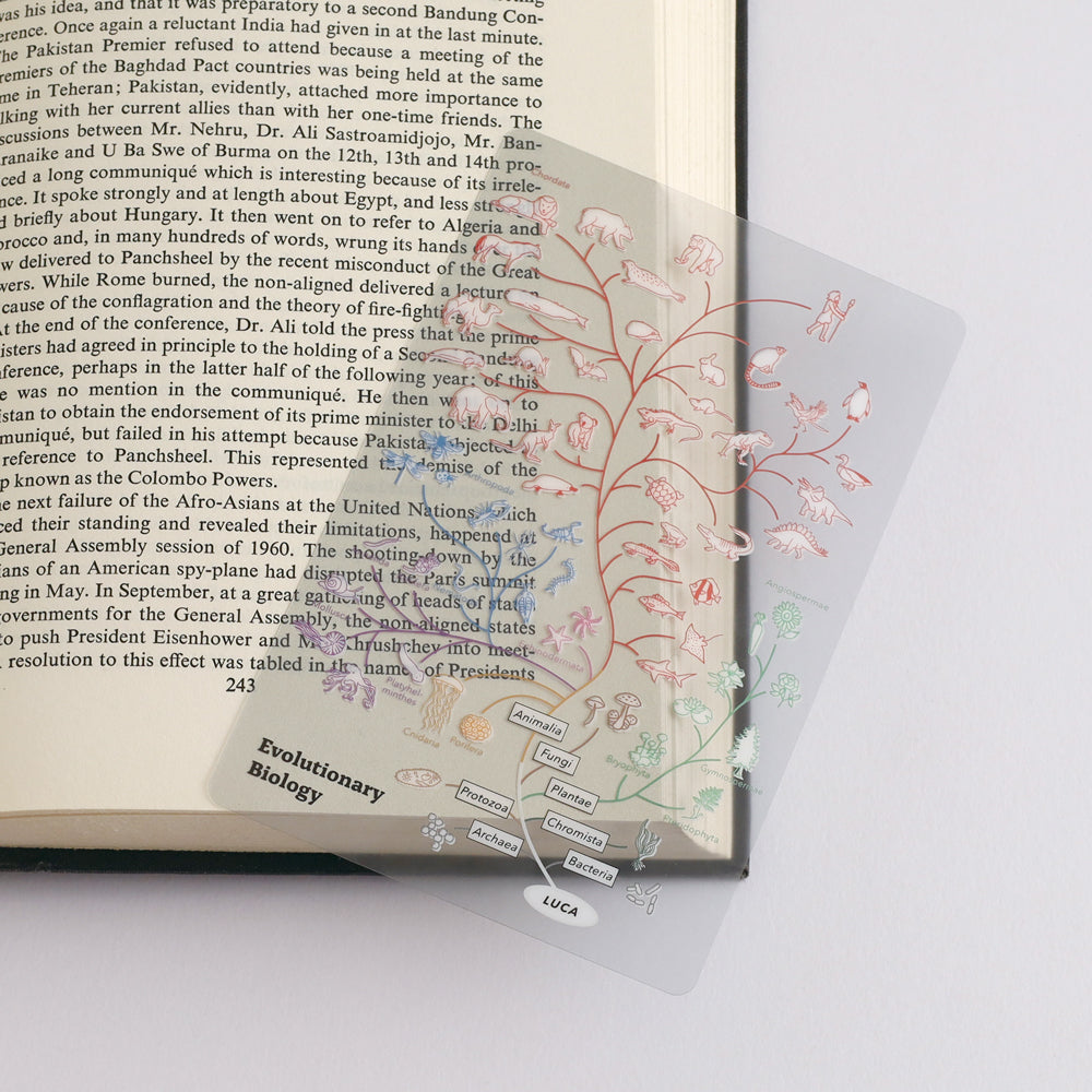 <Study Holic> Clear Bookmark - Evolutionary Biology 進化生物学