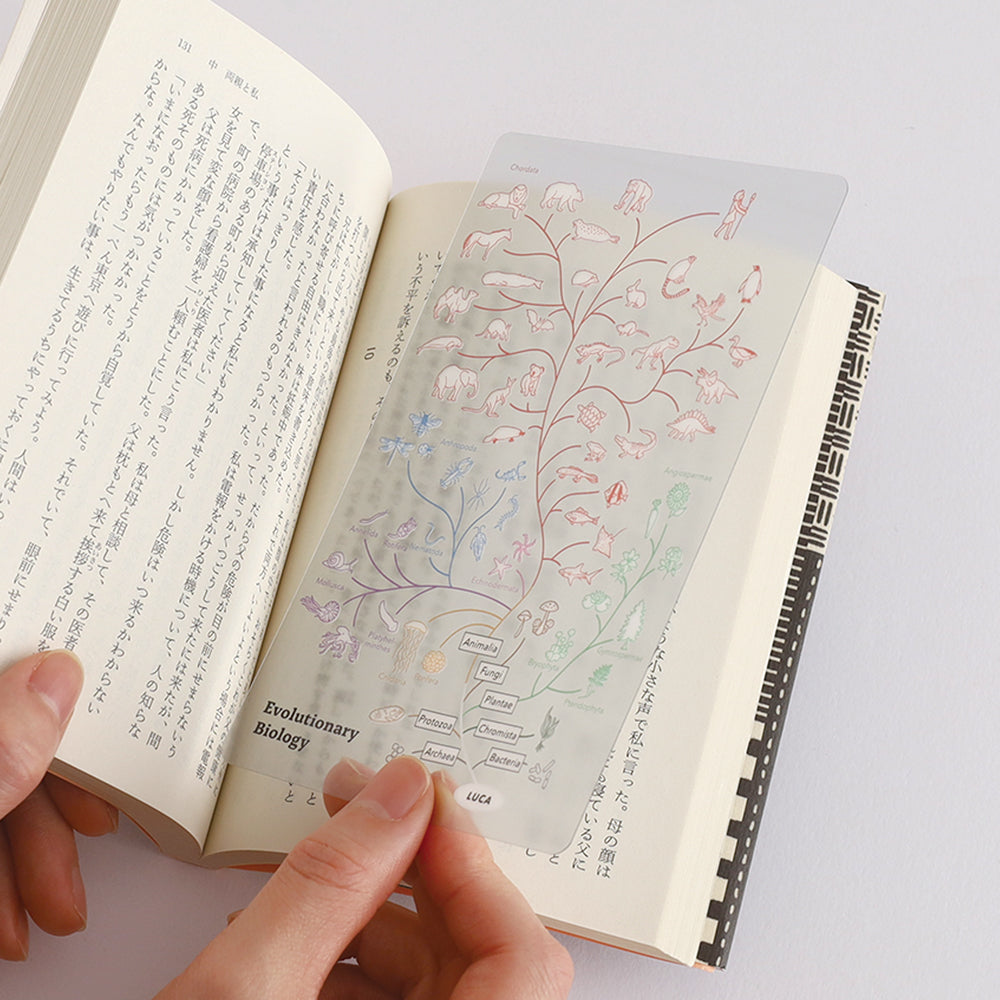 <Study Holic> Clear Bookmark - Evolutionary Biology 進化生物学
