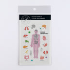 <Study Holic> Clear bookmark - Human Physiology 人體生理学