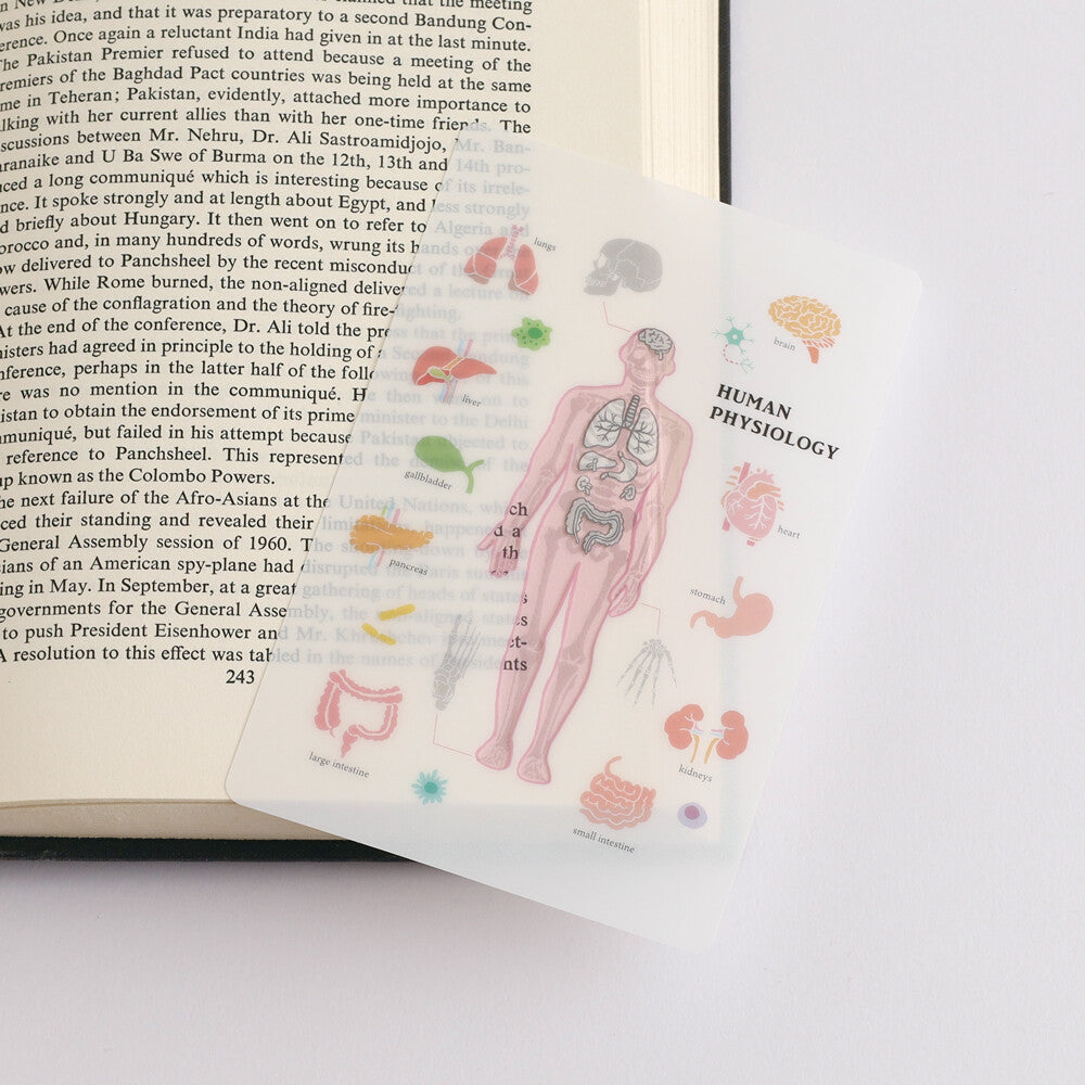 <Study Holic> Clear bookmark - Human Physiology 人體生理学