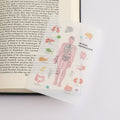 <Study Holic> Clear bookmark - Human Physiology 人體生理学