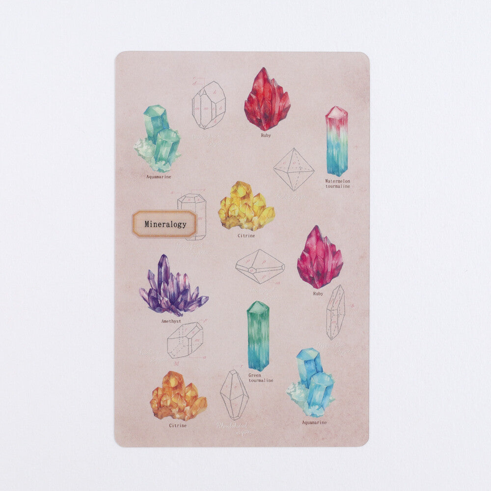 <Study Holic> Clear Bookmark - Mineralogy 鉱物学