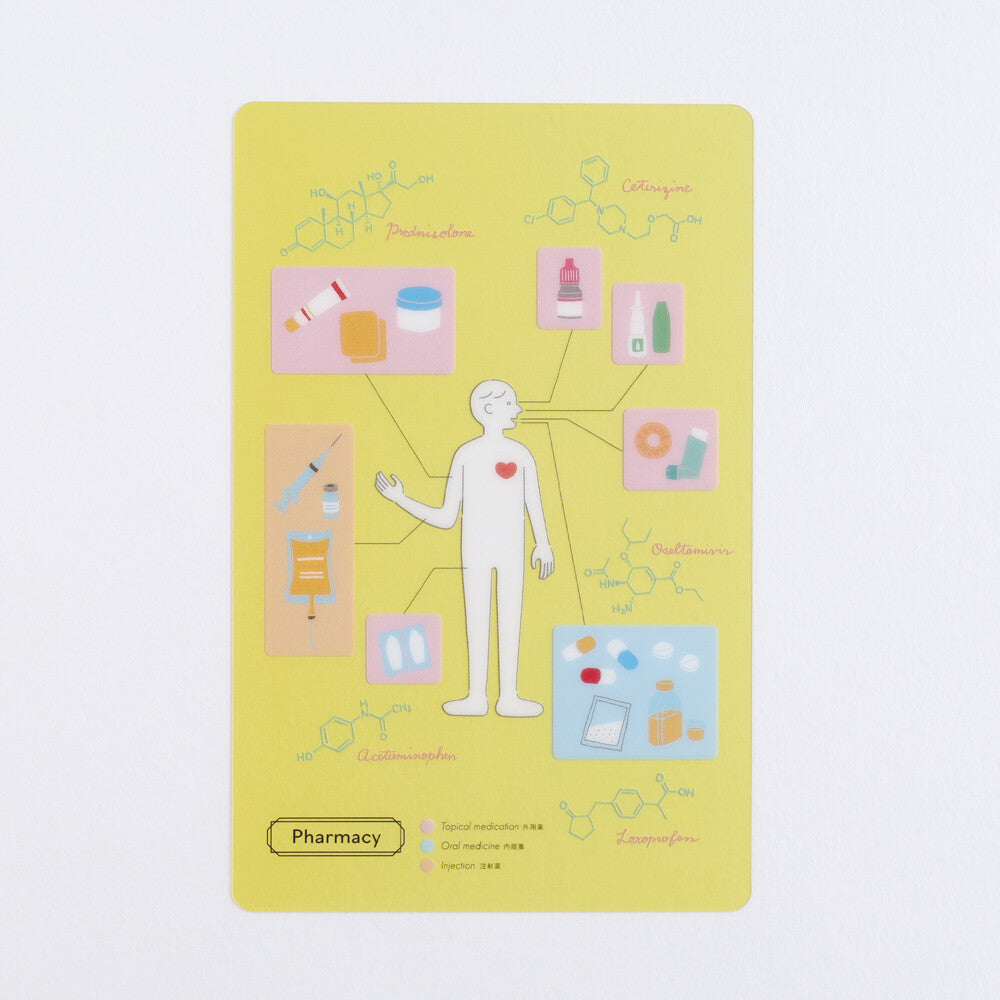 <Study Holic> Clear Bookmark - Pharmacy 薬学
