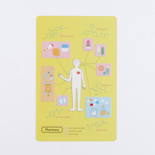 <Study Holic> Clear Bookmark - Pharmacy 薬学