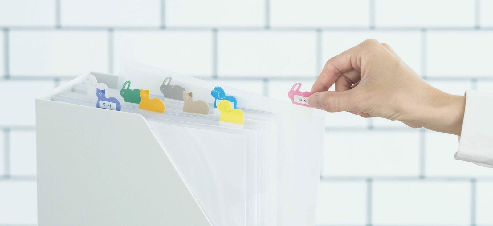 Kanmido Index File Tabs - Animals