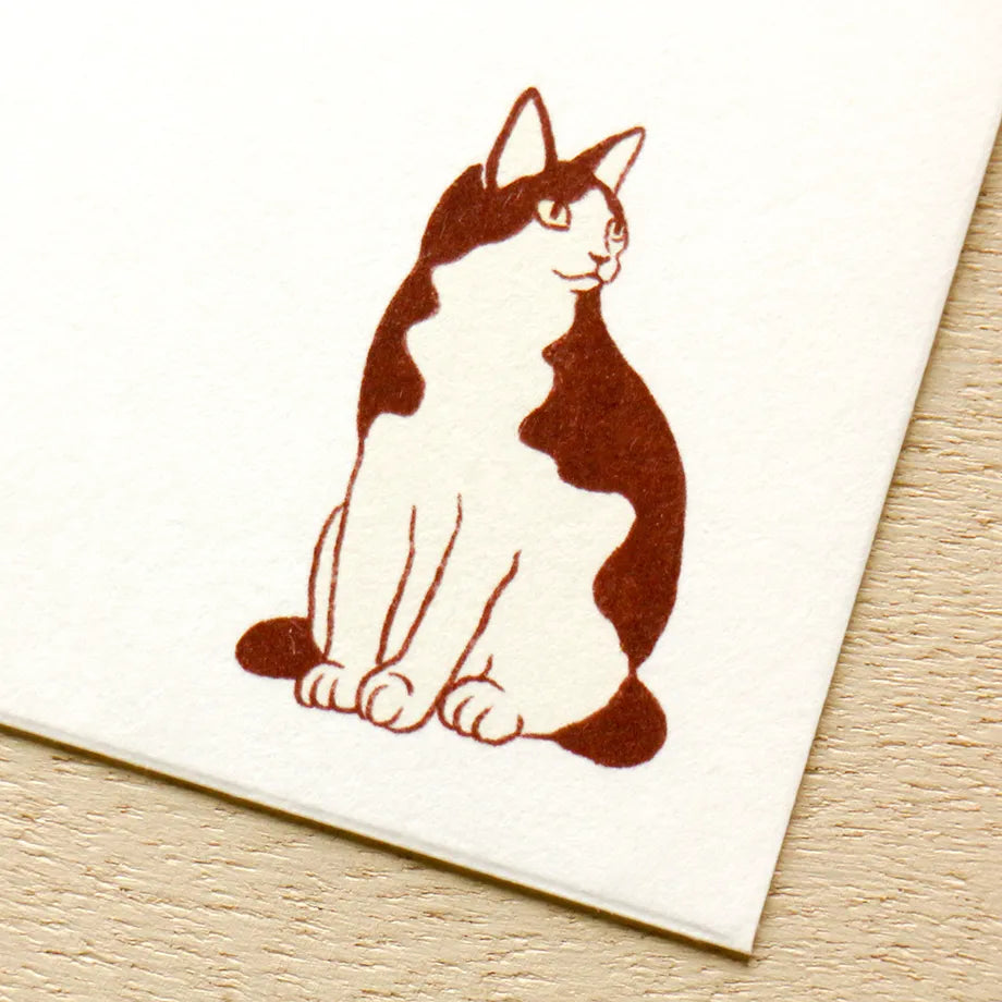 Konatsu Tani 谷小夏 Letter Set - Cat
