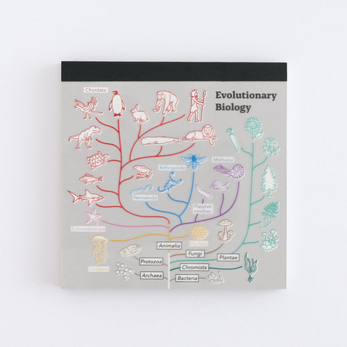 <Study Holic> Memo Pad - Evolutionary Biology 進化生物学