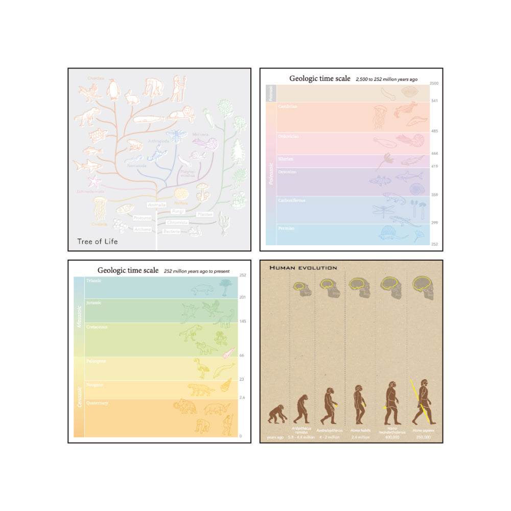 <Study Holic> Memo Pad - Evolutionary Biology 進化生物学