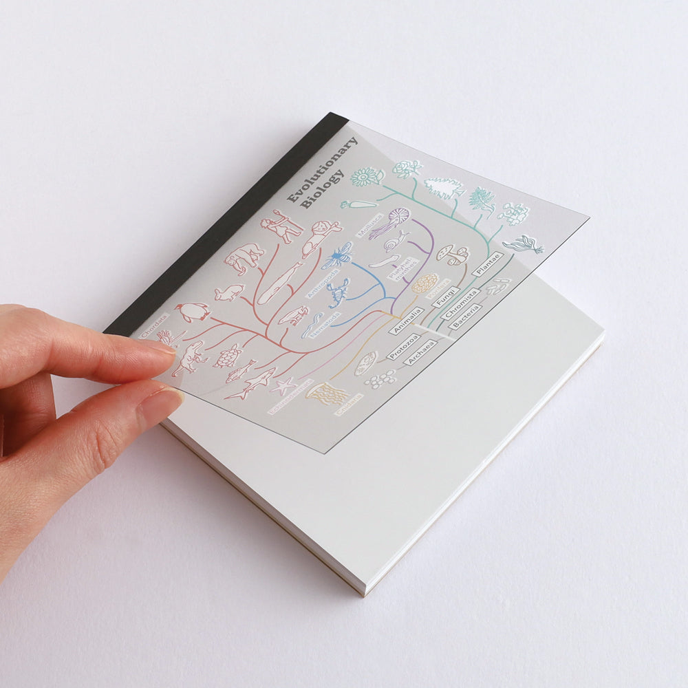 <Study Holic> Memo Pad - Evolutionary Biology 進化生物学