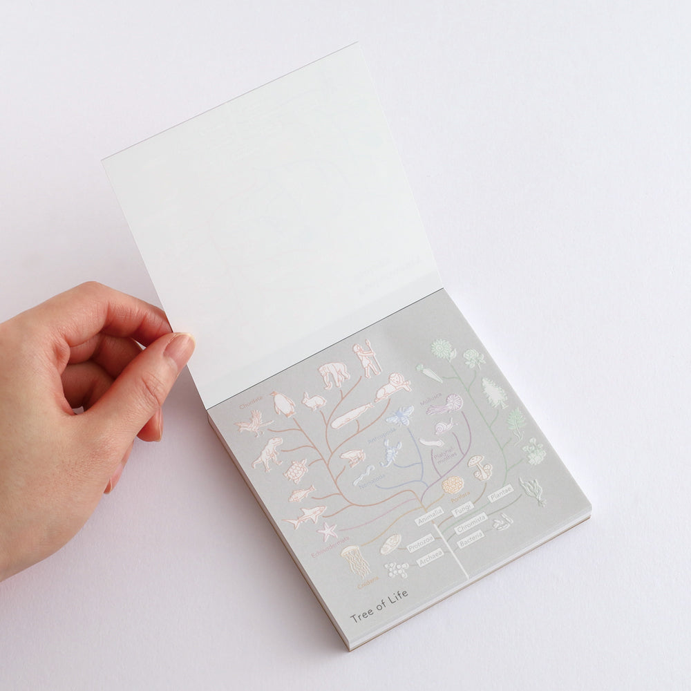 <Study Holic> Memo Pad - Evolutionary Biology 進化生物学