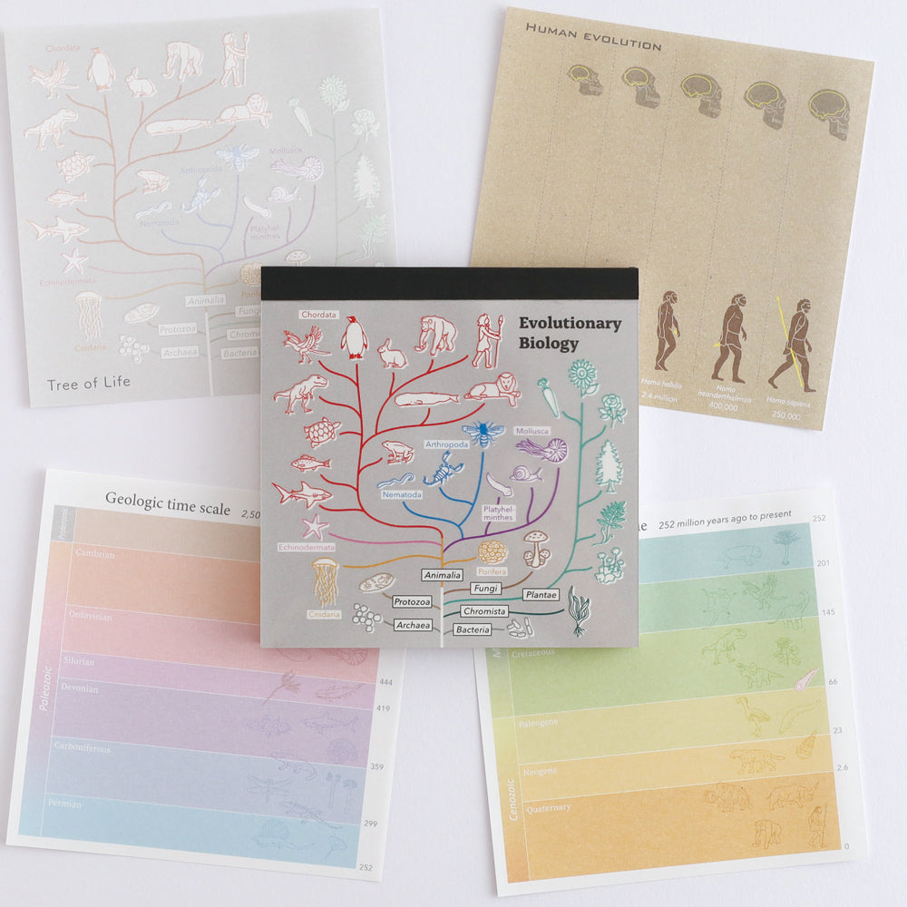 <Study Holic> Memo Pad - Evolutionary Biology 進化生物学