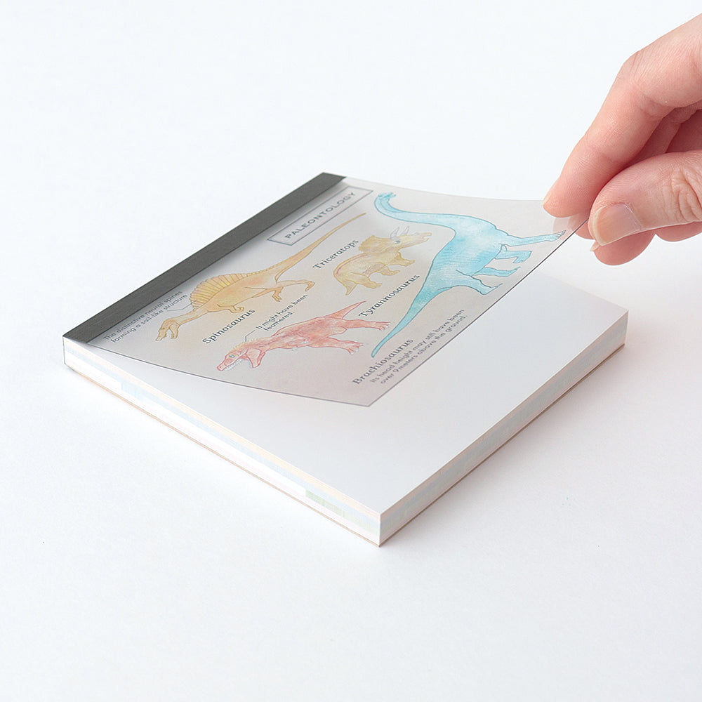 <Study Holic> Memo Pad - Paleontology 古生物学