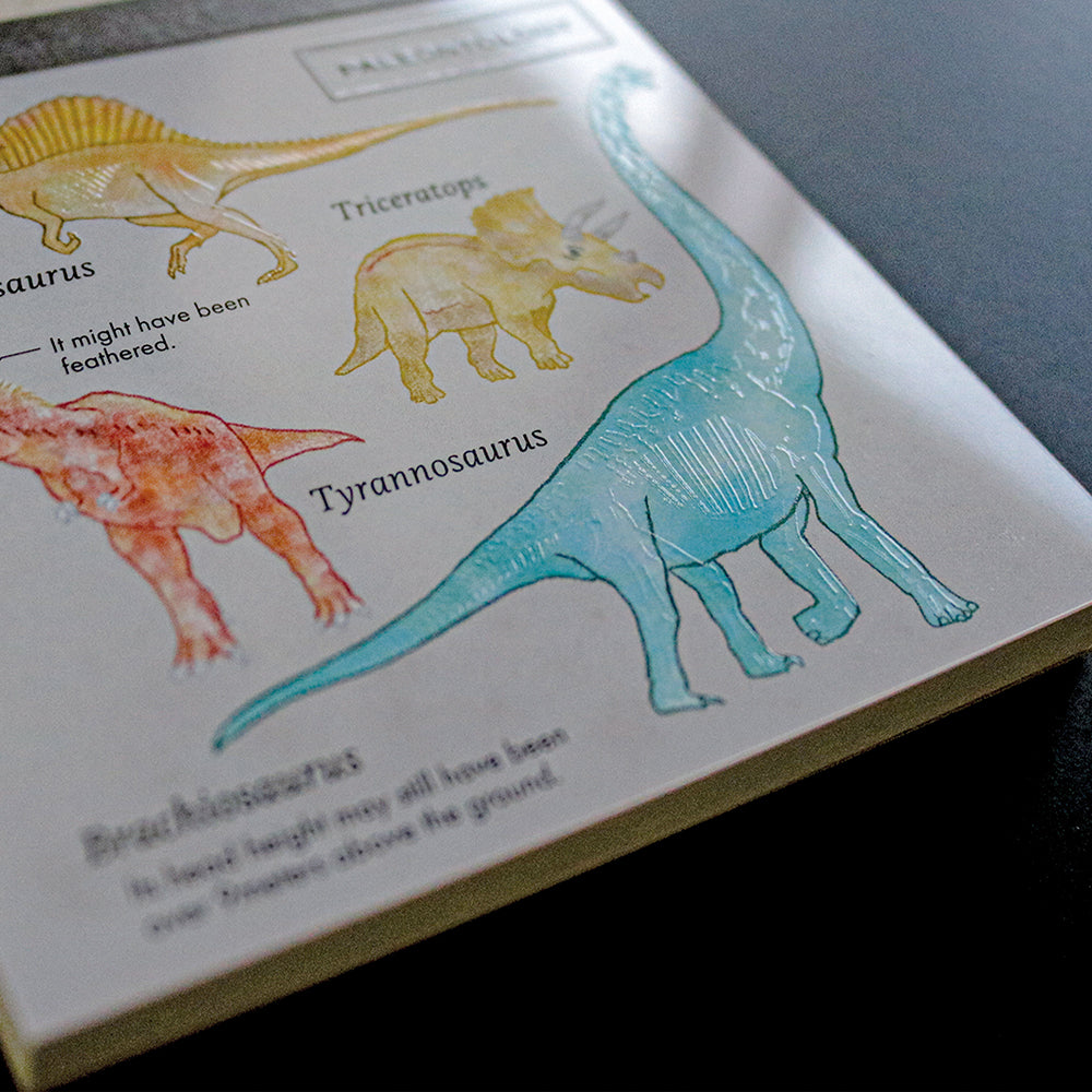 <Study Holic> Memo Pad - Paleontology 古生物学