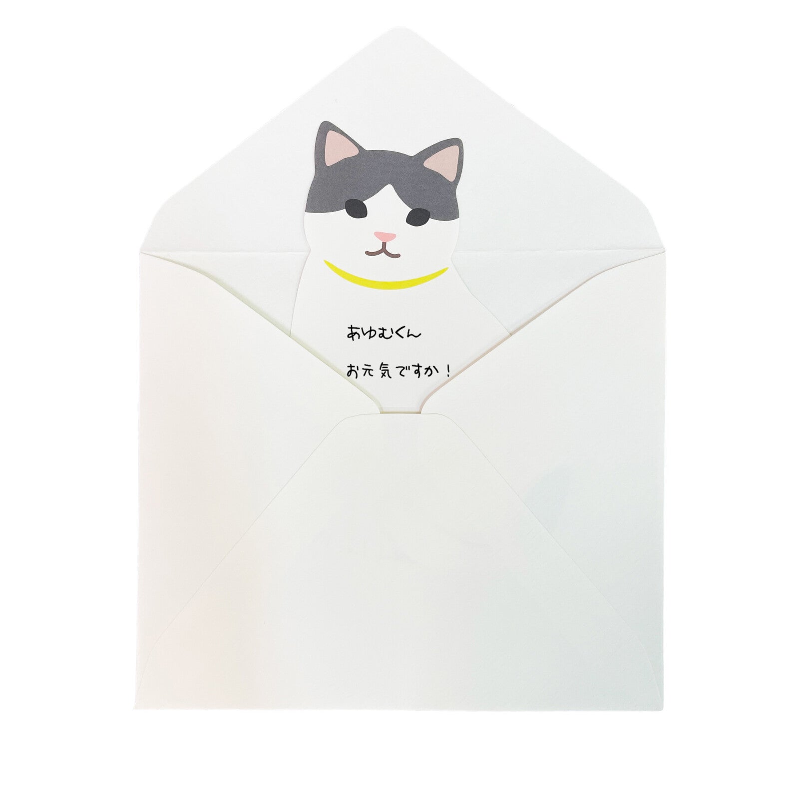 Memo Pad - Cats (5-in-1)